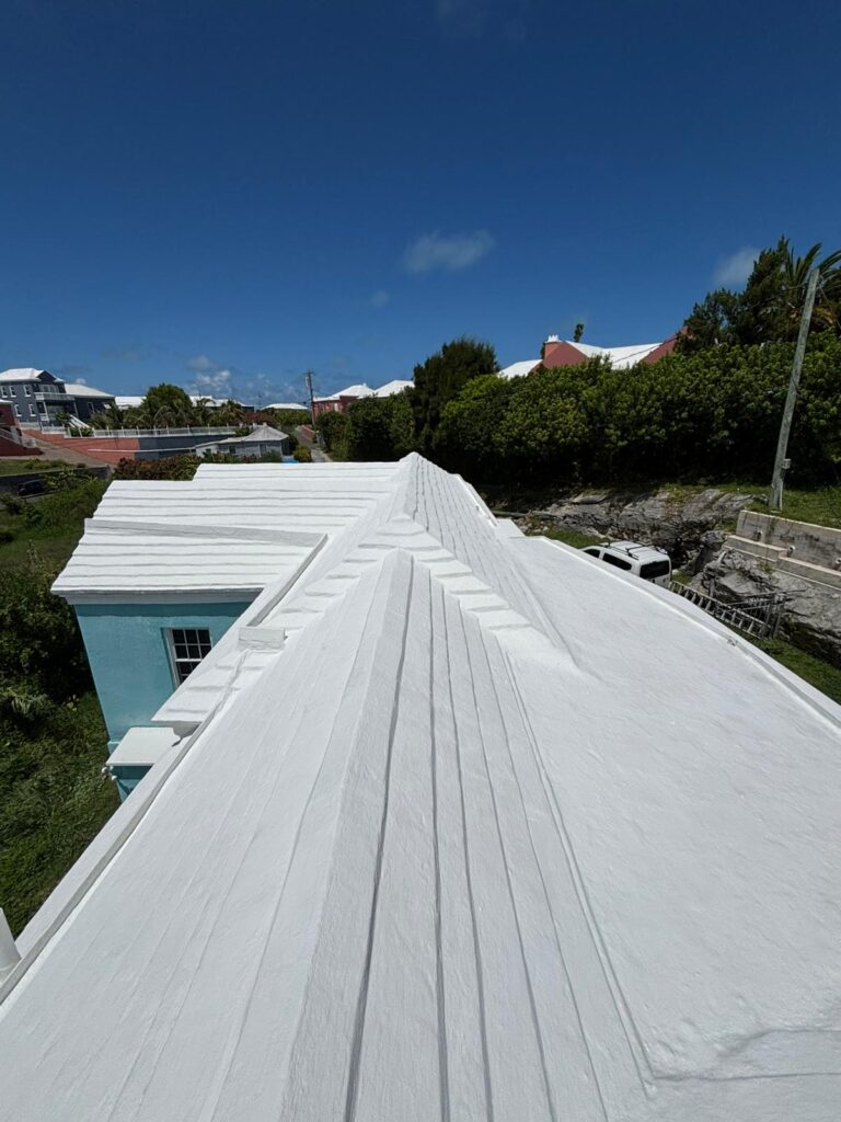 Bermuda Roof Paiinting